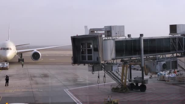 Plane Getting Ready Depart — Video Stock