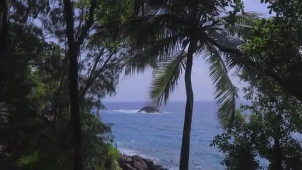 Beautiful Nature Seychelles Mahe Island — Video