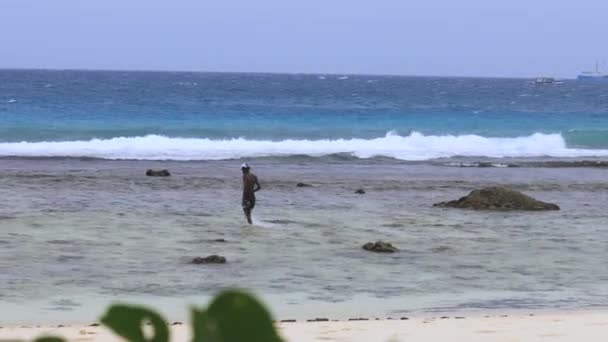 Seyşeller Güzel Doğası Mahe Adası — Stok video