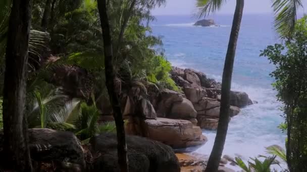 Beautiful Nature Seychelles Mahe Island — Stockvideo
