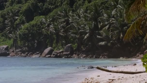 Beautiful Nature Seychelles Mahe Island — Video