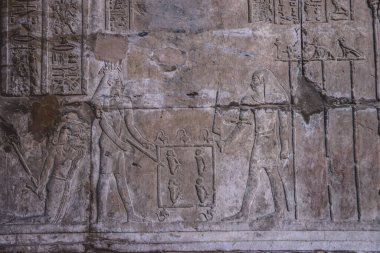 Edfu Tapınağı 'nın duvarlarında Antik Mısır çizimlerinin resmi, Mısır