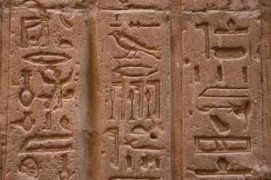Picture of an Ancient Egyptian Drawings on the Walls of the Temple of Edfu, Egypt