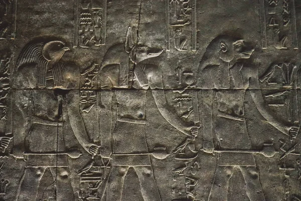 Зображення Давньоєгипетських Малюнків Стінах Храму Едфу Єгипет — стокове фото
