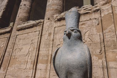 Eski Mısır Tanrısı Horus heykeli Edfu, Mısır Tapınağı 'ndaki Şahin Kuş görüntüsü