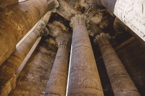 Interior View Temple Edfu Carved Pillars Ancient Egyptian Drawing Wall — Stock Photo, Image