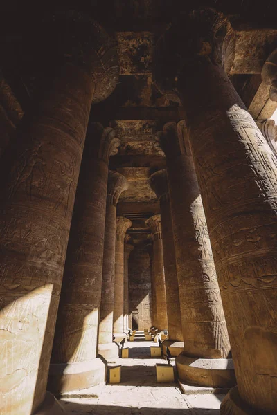 Interior View Temple Edfu Carved Pillars Ancient Egyptian Drawing Wall — Photo