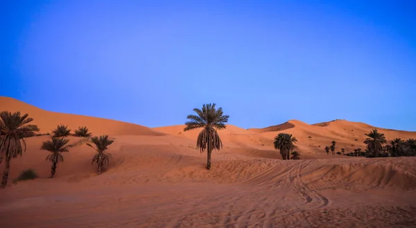 Amazing View Golden Sahara Desert Sands Oasis Town Taghit Algeria — Stok fotoğraf