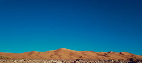 Increíble Vista Las Arenas Del Desierto Del Sahara Dorado Cerca —  Fotos de Stock