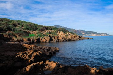 Cezayir 'in Tipaza kenti yakınlarındaki Akdeniz kıyılarına güzel manzaralı antik Roma Tipasa kalıntıları