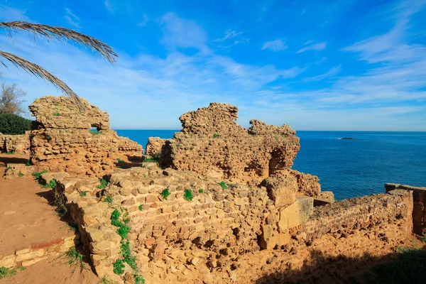 Древние Руины Римского Типаса Прекрасным Видом Побережье Средиземного Моря Недалеко — стоковое фото
