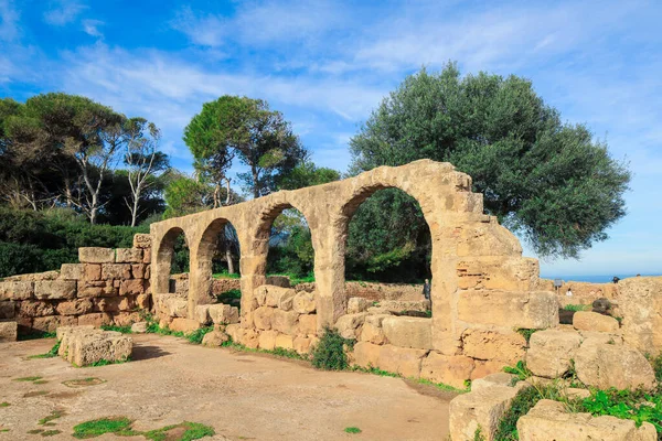 Ancient Ruins Roman Tipasa Nice View Mediterranean Coastline Tipaza City — 图库照片