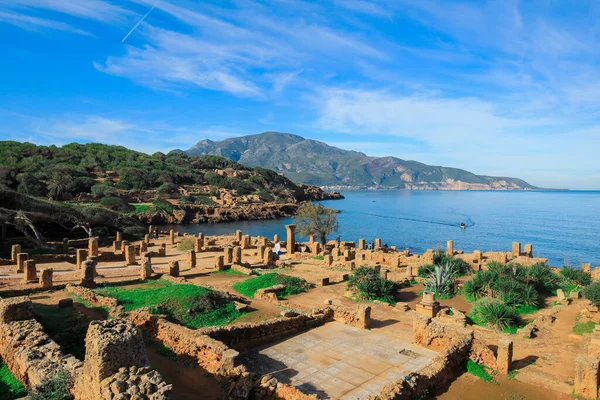 Cezayir 'in Tipaza kenti yakınlarındaki Akdeniz kıyılarına güzel manzaralı antik Roma Tipasa kalıntıları