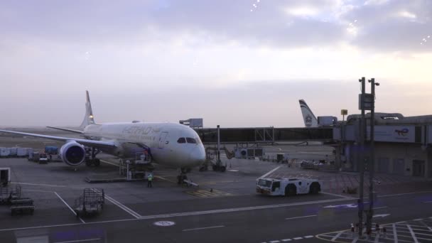 Abu Dhabi Airport Terminal Passengers Plane — Vídeo de Stock