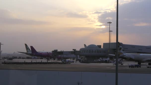 Abu Dhabi Airport Terminal Passengers Plane — Video