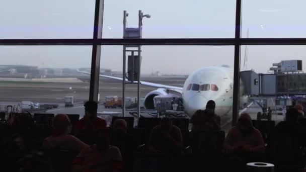 Abu Dhabi Airport Terminal Passengers Plane — Wideo stockowe
