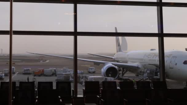 Abu Dhabi Airport Terminal Passengers Plane — 图库视频影像