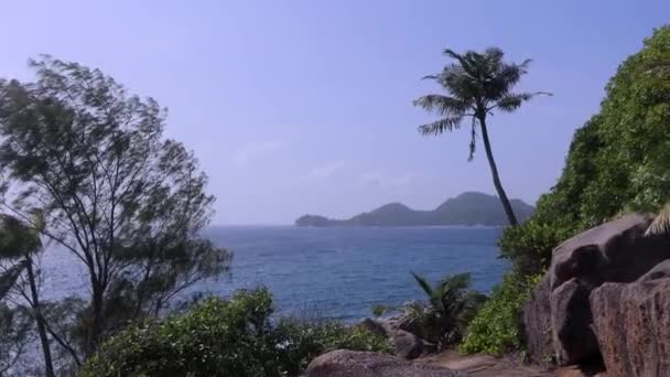 Rock Pool Trail Seychelles Natural Landscapes — Stok Video