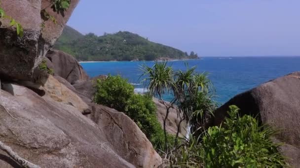 Rock Pool Trail Seychelles Natural Landscapes — Stockvideo