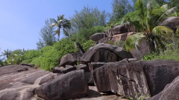 Rock Pool Trail Seychelles Natural Landscapes — ストック動画