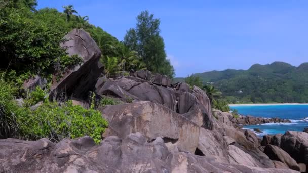 Rock Pool Trail Seychelles Natural Landscapes — Stok video