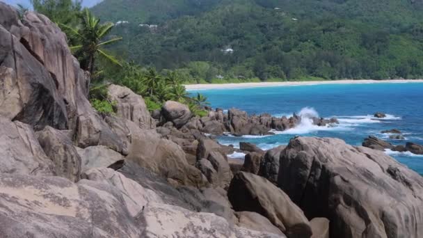 Rock Pool Trail Seychelles Natural Landscapes — Video