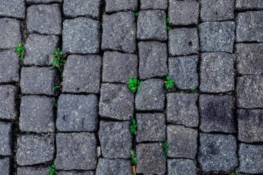 Gri renkli doğal ahşap ve taş dokular.
