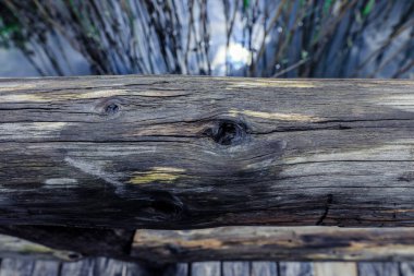 Gri renkli doğal ahşap ve taş dokular.