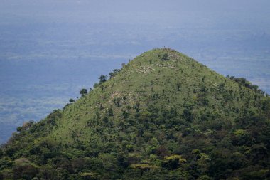 Amazing Natural Landscapes of Ghana Atlantic Ocean Coastline with Green Forest and Blue Water, West Africa