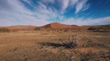 Landscapes of the Namib desert