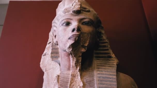 Statues Ancient Gods Cairo Museum Egypt — Stock Video
