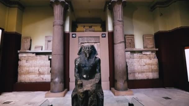 Статуї Стародавніх Богів Каїрському Музеї Єгипет — стокове відео