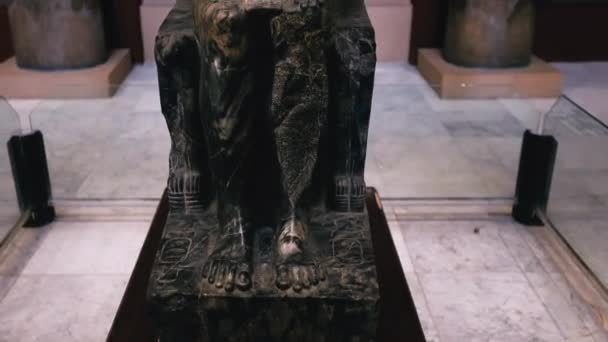 Statues Ancient Gods Cairo Museum Egypt — Wideo stockowe