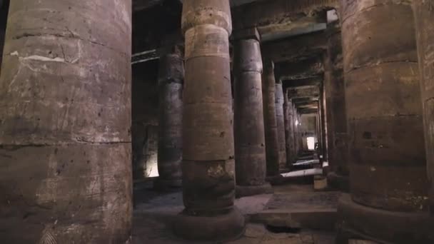Ancient Temple Abydos Interior Egypt — Stockvideo