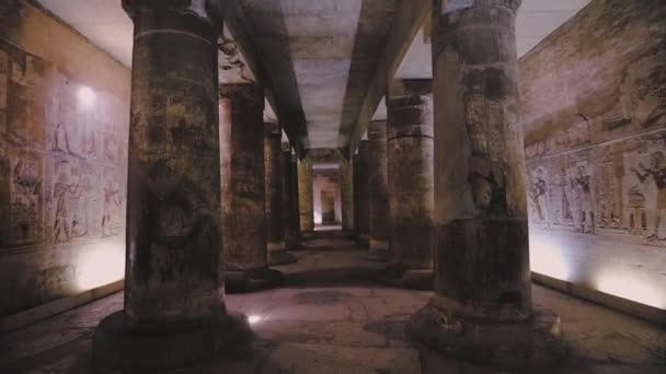 Ancient Temple Abydos Interior Egypt — 图库视频影像