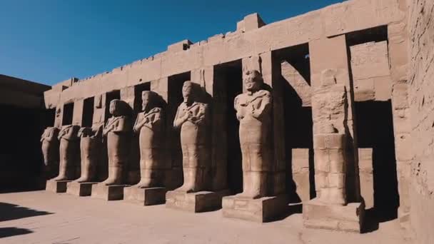 Statues Ancient Karnak Temple Egypt — Video