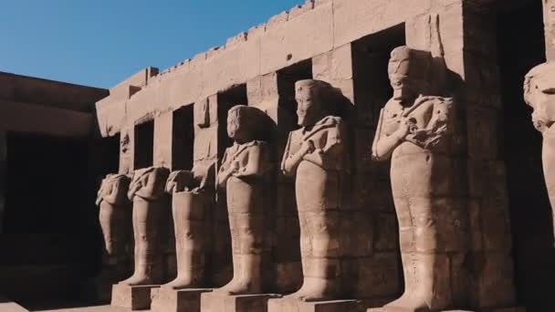 Statues Ancient Karnak Temple Egypt — Stockvideo