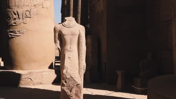 Statues Ancient Karnak Temple Egypt — Video