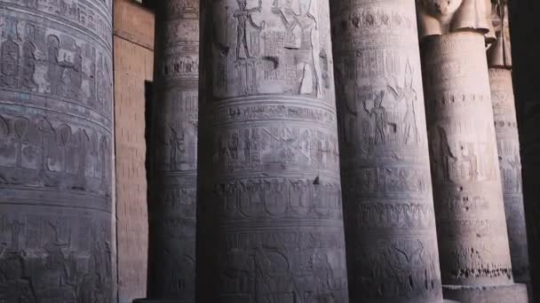 Massive Columns Temple Dendera Egypt — Video