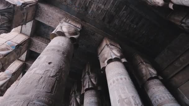 Massive Columns Temple Dendera Egypt — Video Stock