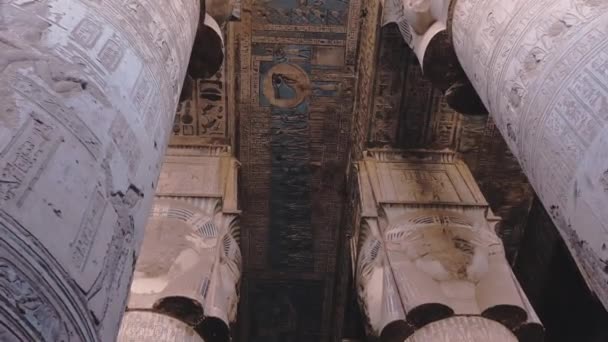 Massive Columns Temple Dendera Egypt — Stockvideo