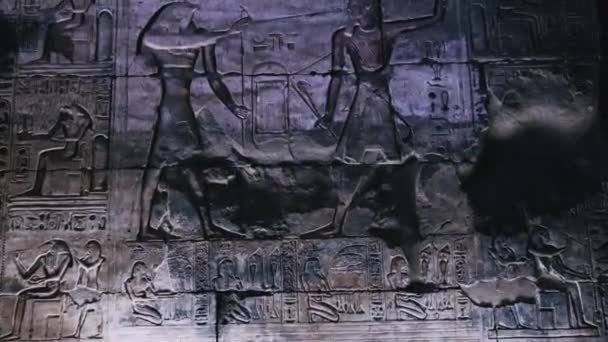 Малюнки Стінах Стародавньому Єгипетському Храмі Абідоса — стокове відео