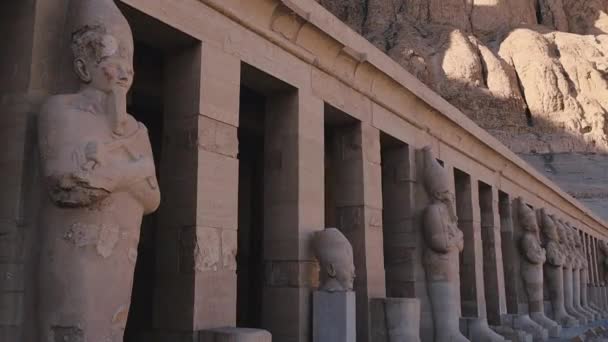 Статуи Древнем Храме Хатшепсут Луксор Египет — стоковое видео