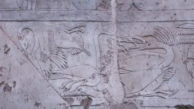 Ancient Wall Paintings In The Temple Of Hatshepsut, Egypt