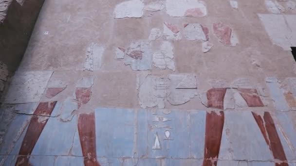 Ancient Wall Paintings Temple Hatshepsut Egypt — 비디오