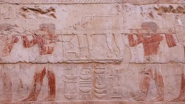 Ancient Wall Paintings Temple Hatshepsut Egypt — Stockvideo