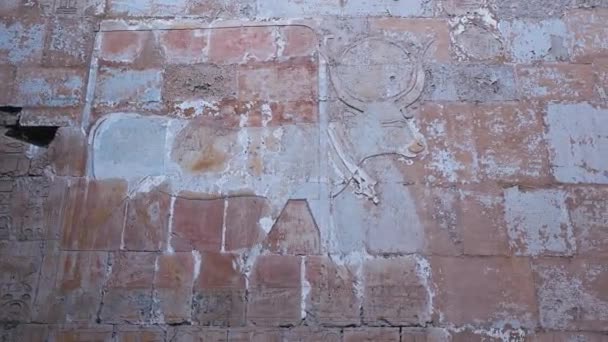 Ancient Wall Paintings Temple Hatshepsut Egypt — Vídeo de stock