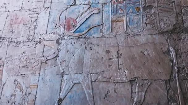 Ancient Wall Paintings Temple Hatshepsut Egypt — Stock videók
