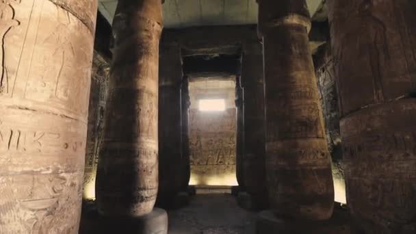 Columns Drawings Ancient Temple Abydos Egypt — Vídeo de Stock