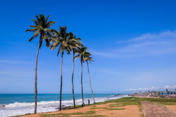 Atlantic Ocean coastline with the turquoise waves among the Palm Trees in Elmina city in Ghana, West Africa